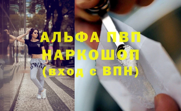 таблы Снежногорск